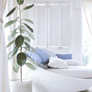 white room seat shutter blinds in background