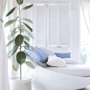 white room seat shutter blinds in background
